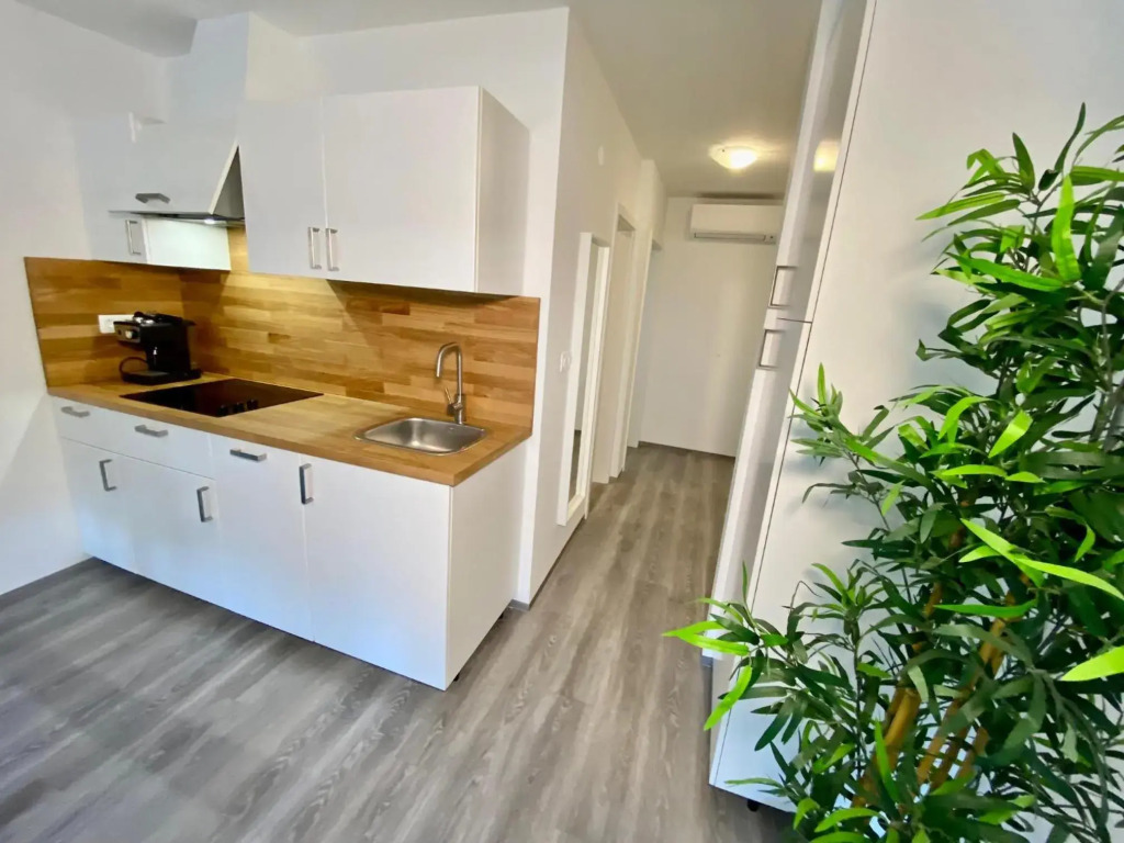 Apartment 3 Sovice