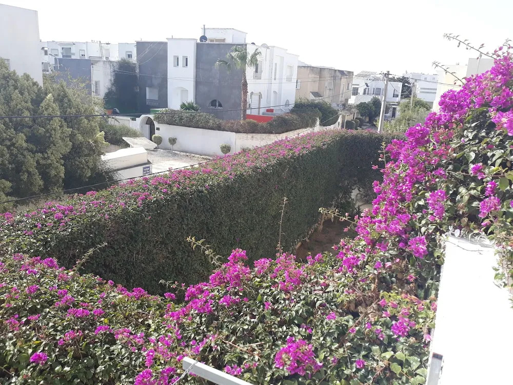 Cosy Flat In la Marsa
