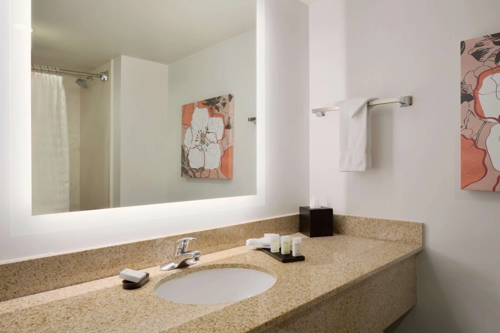 Embassy Suites by Hilton Denver International Airport