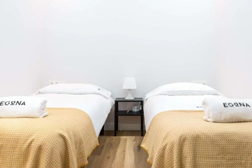 Egona - Zi28 Centro de Zarautz, Reformada-Luminosa