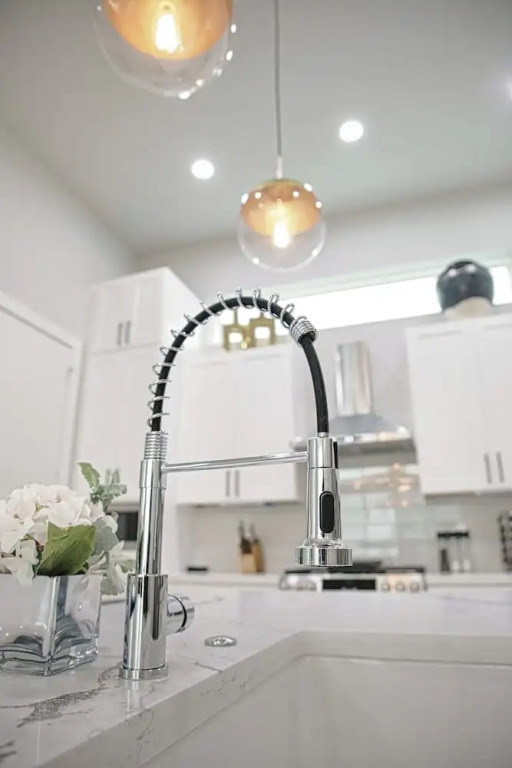 Luxury 3BD Rooftop Home in Dwtwn HTX.