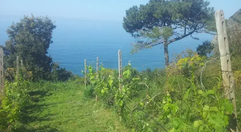 Apartment Camere Cinque Terre Andrea