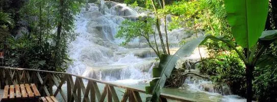 1 BR Suites with Pool - Runaway Bay - PRJ 1256