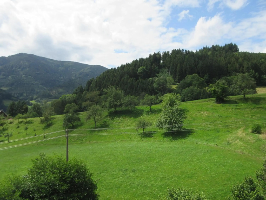 Wehrlemartinshof