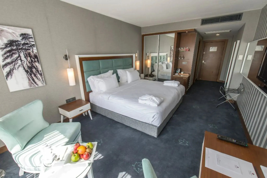 Отель Premier Inn Sakarya