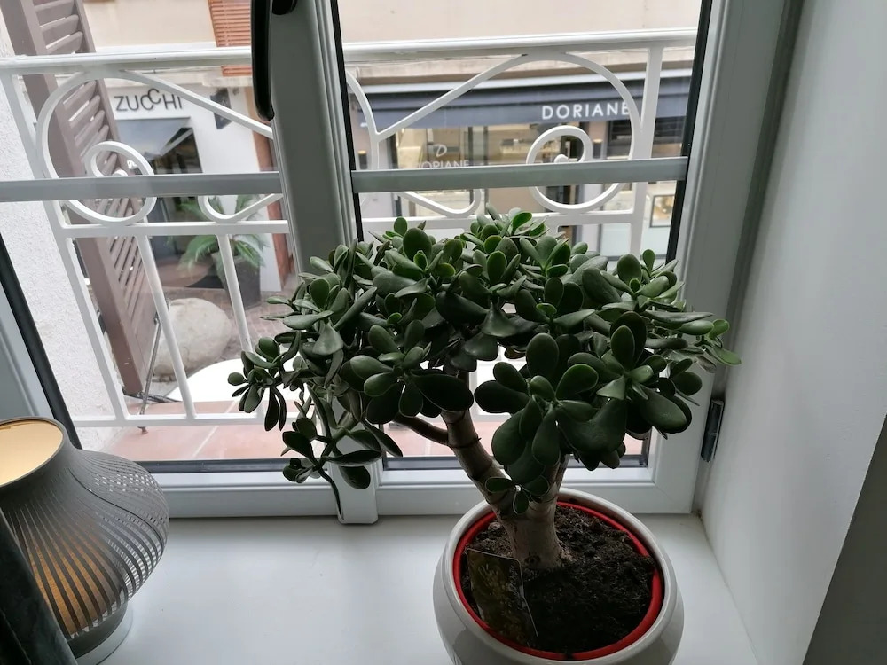 Votre Hotel Prive