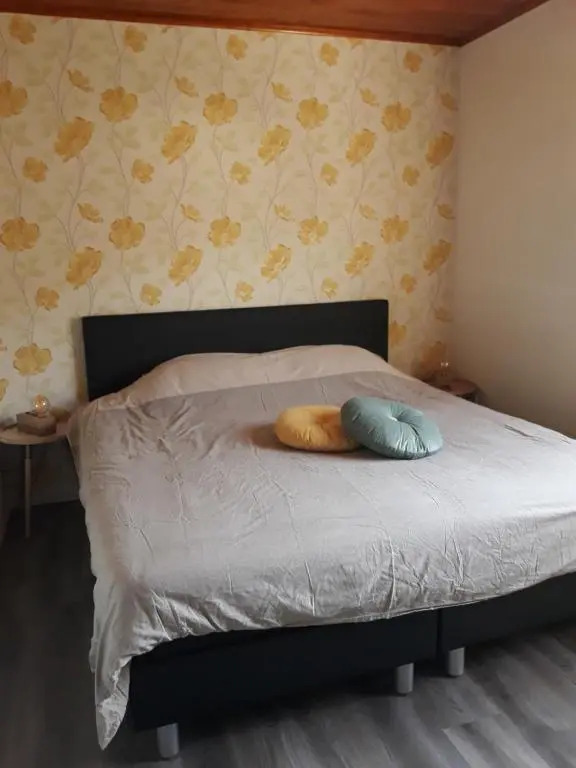 Ardennen Bungalow Belle Vue - Bomal - Durbuy