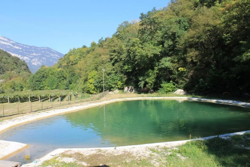 Agriturismo Maso Rocca