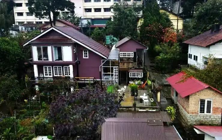 The Burrow Dalat