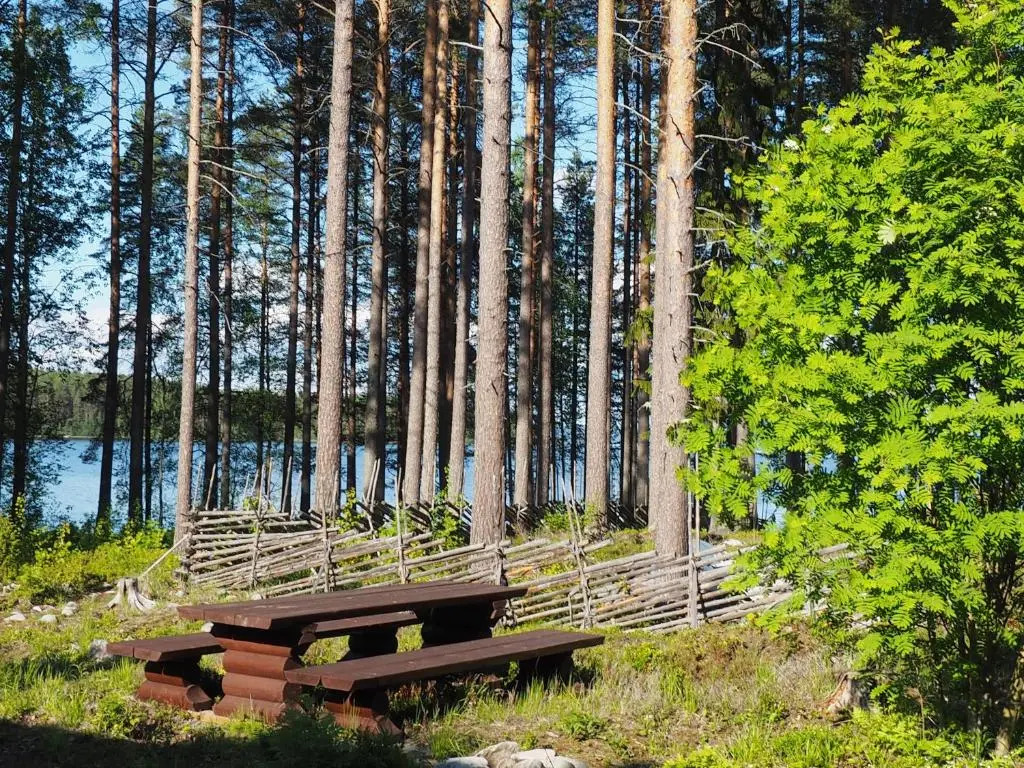 Aalto Koli