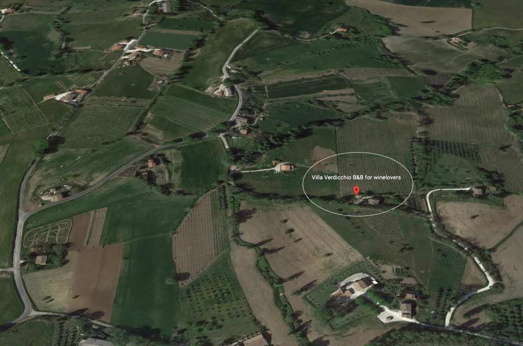 Villa Verdicchio - B&B with wellness for winelovers