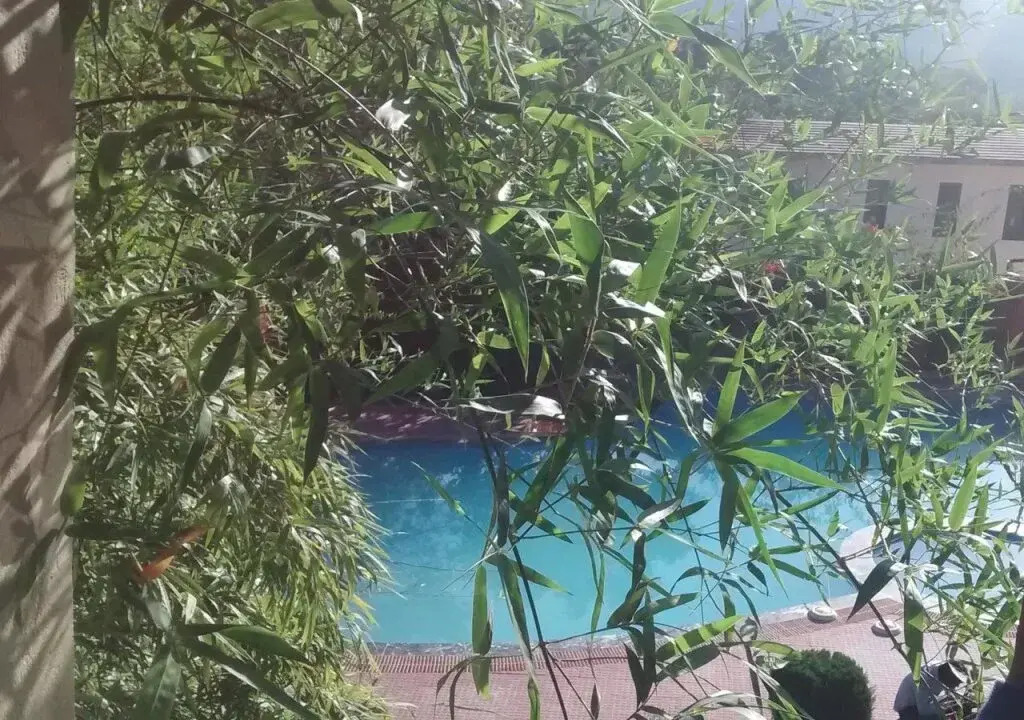 Treebo Aroma park