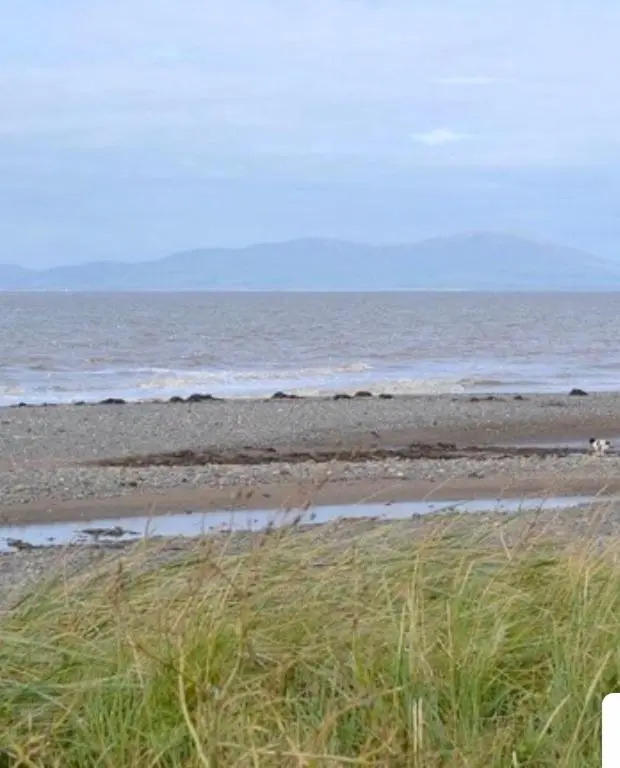 Sea view cottage