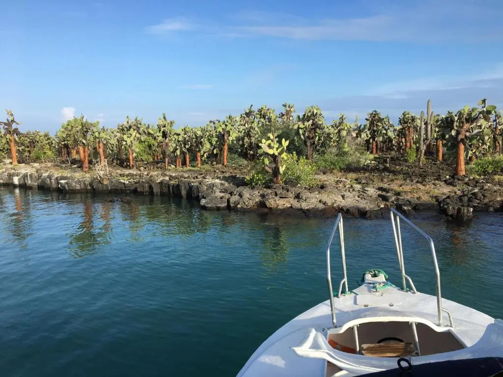 New Galapagos Hostelling