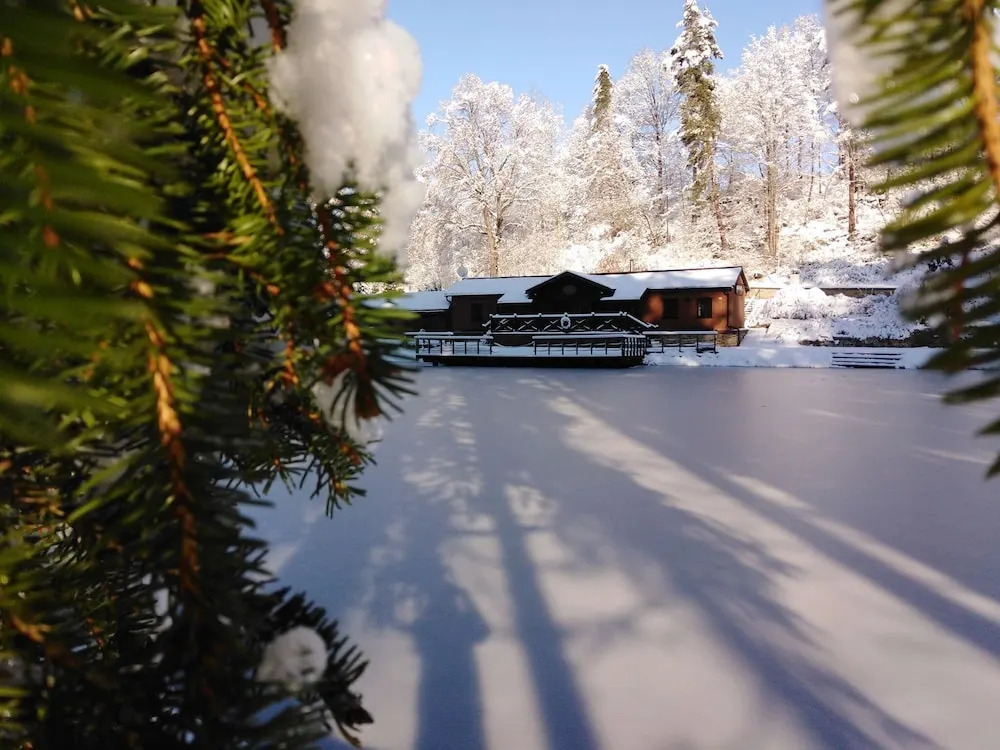 Hotel Vodník