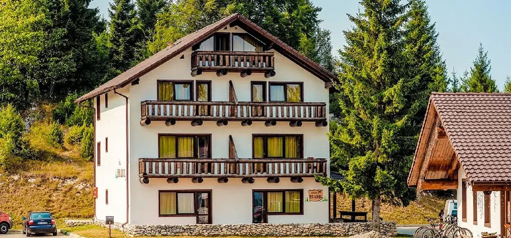Vila Bradul - Complex Cheile Gradistei