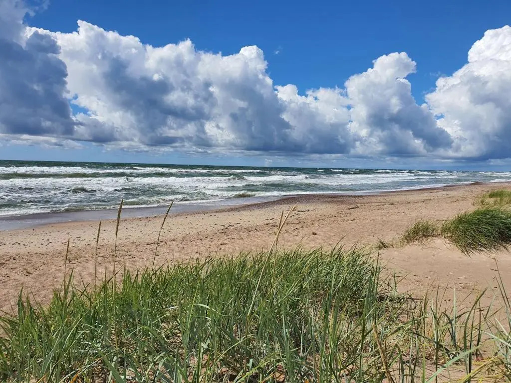 Baltic dunes apartments
