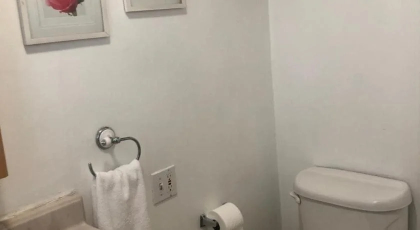 Comfy Studio Suite
