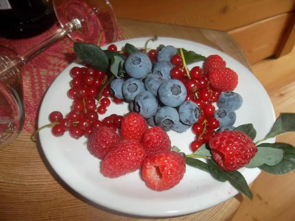 Agriturismo Maso Grisun