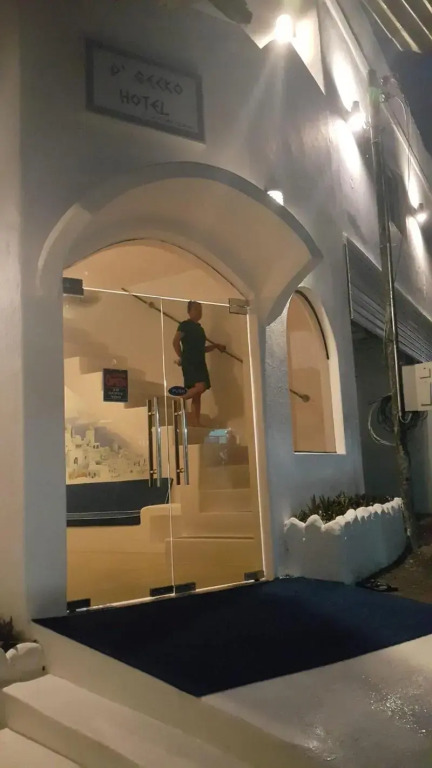 D´Gecko Hotel