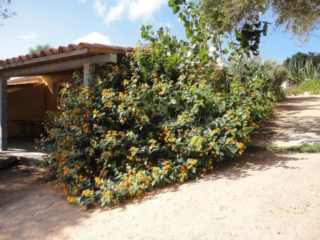 Résidence Maora Village