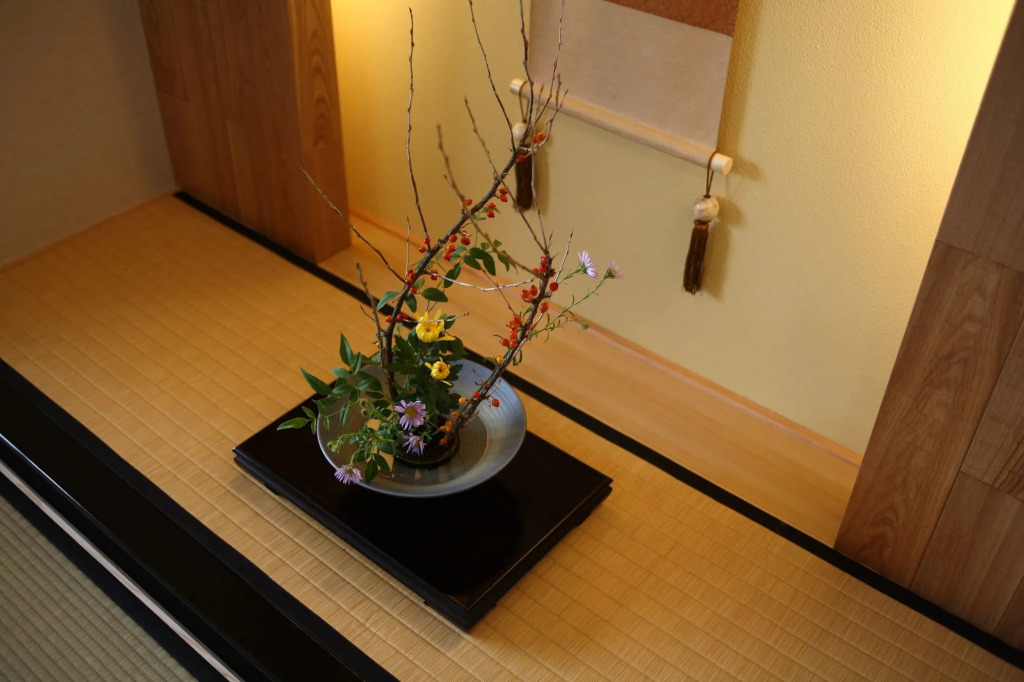 Shiragiku