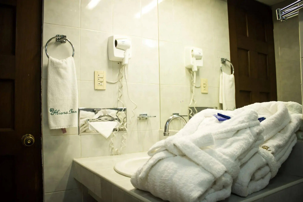 Hotel Aliana