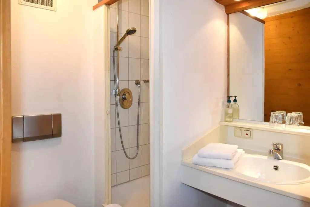 Alps Hostel