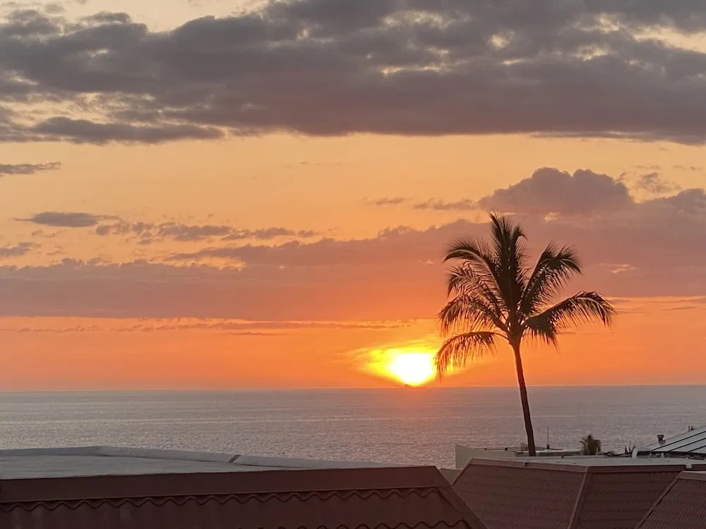 OCEAN VIEW 2 BEDROOM DOWNTOWN CONDO 2 Condo by RedAwning