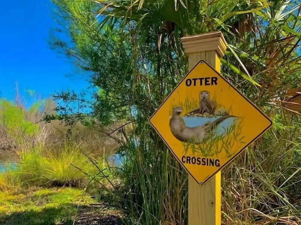 Otter Cove