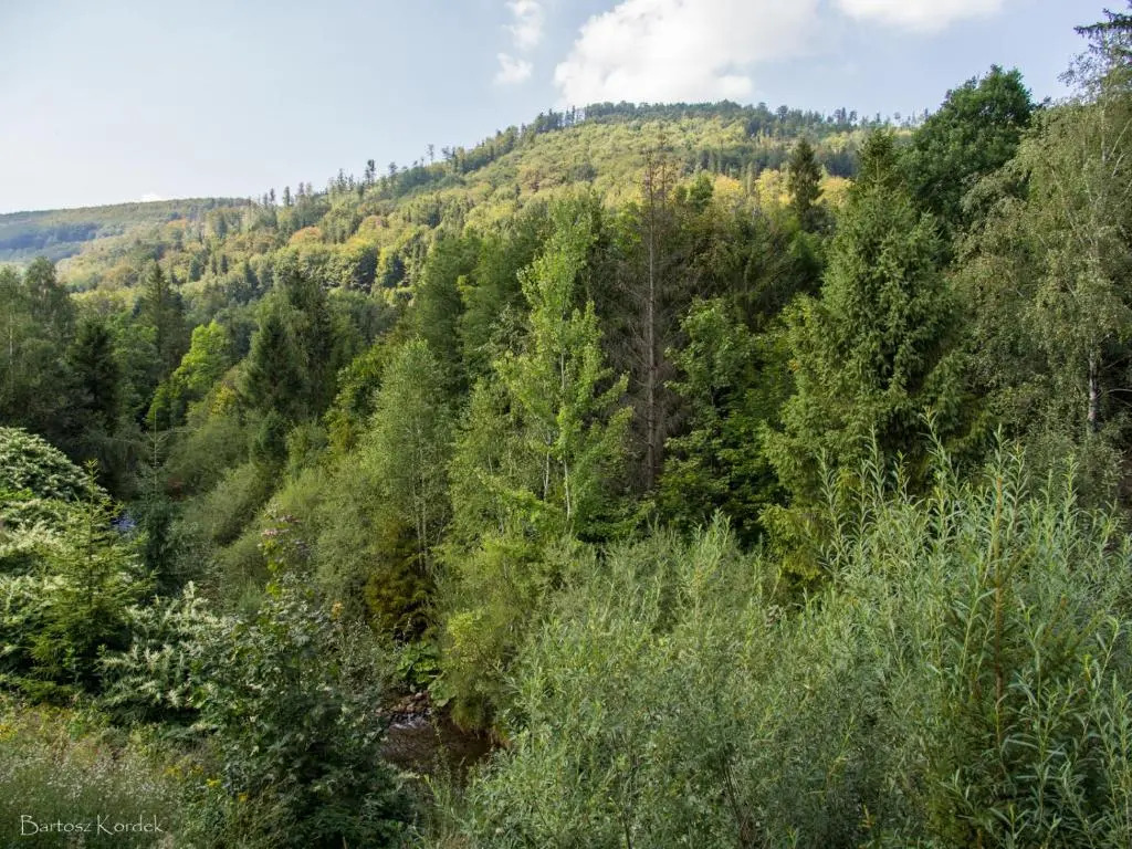 Mała Osada domki z jacuzzi przy gondoli