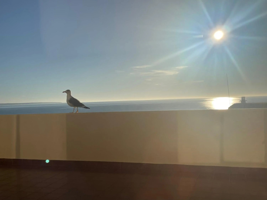 Silver Moon Beach House