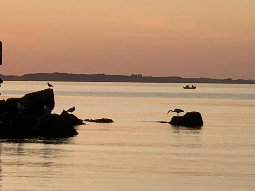 Beachhouse Schwedeneck