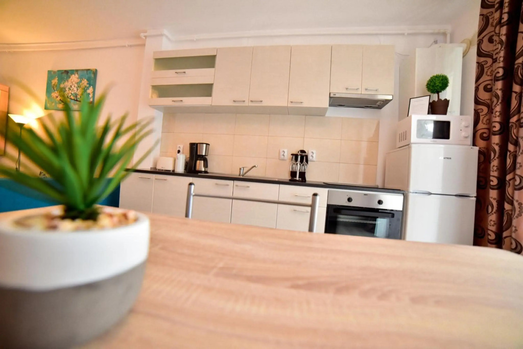 Apartament Central Silva