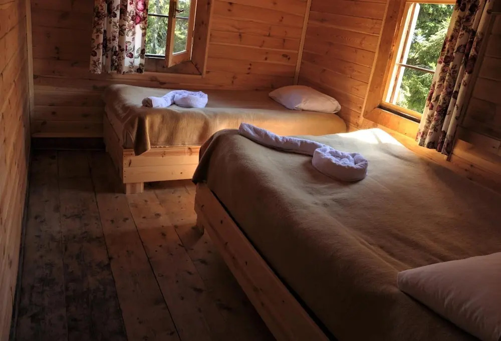 Tanevit Dag Evi