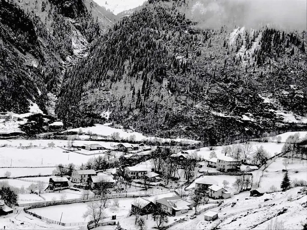 Ciuris Guesthouse