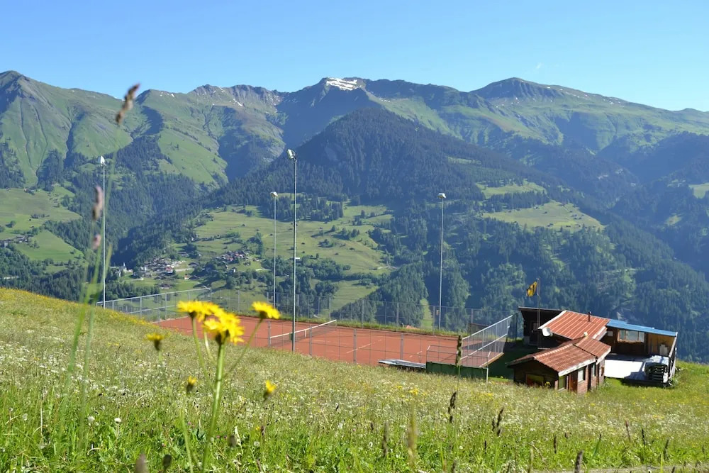 The Alpina Mountain Resort