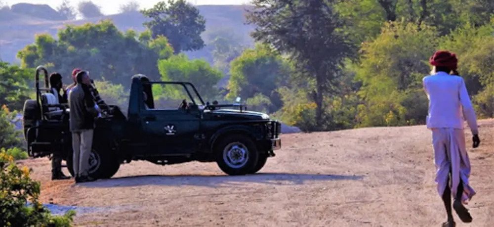 Varawal Jawai Leopard Safari Camp