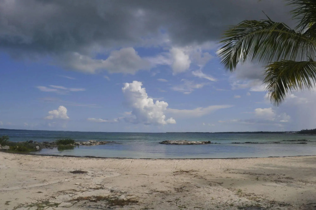 Hammock Heaven by Living Easy Abaco