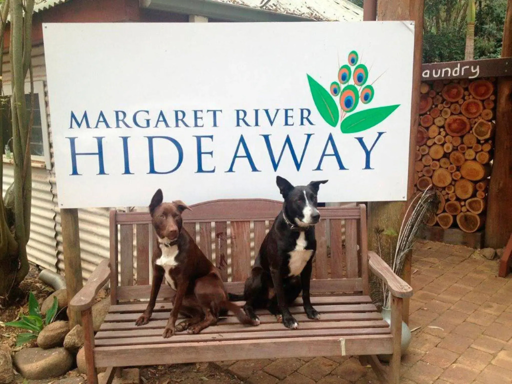 Margaret River Hideaway & Farmstay