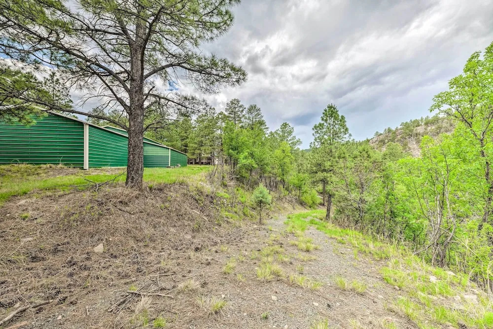 Spacious Ruidoso Retreat on 6 Gated Acres!