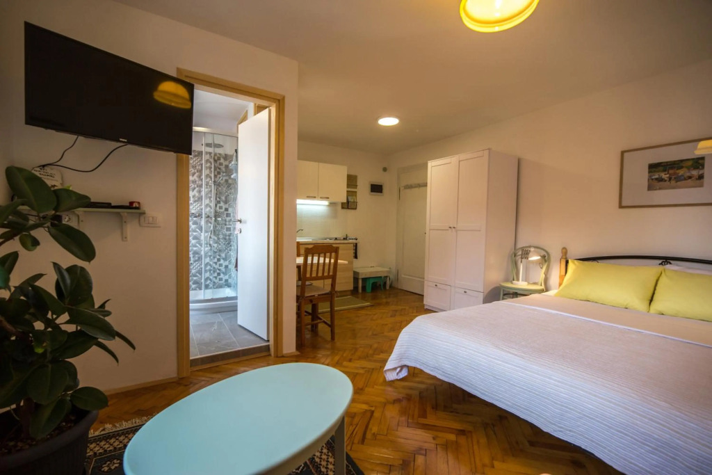 Studio apartment Lux