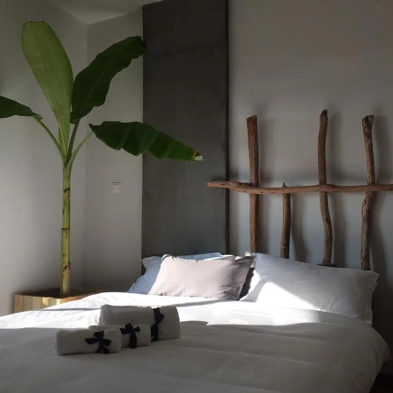 Jing Pu Plant Theme Hostel