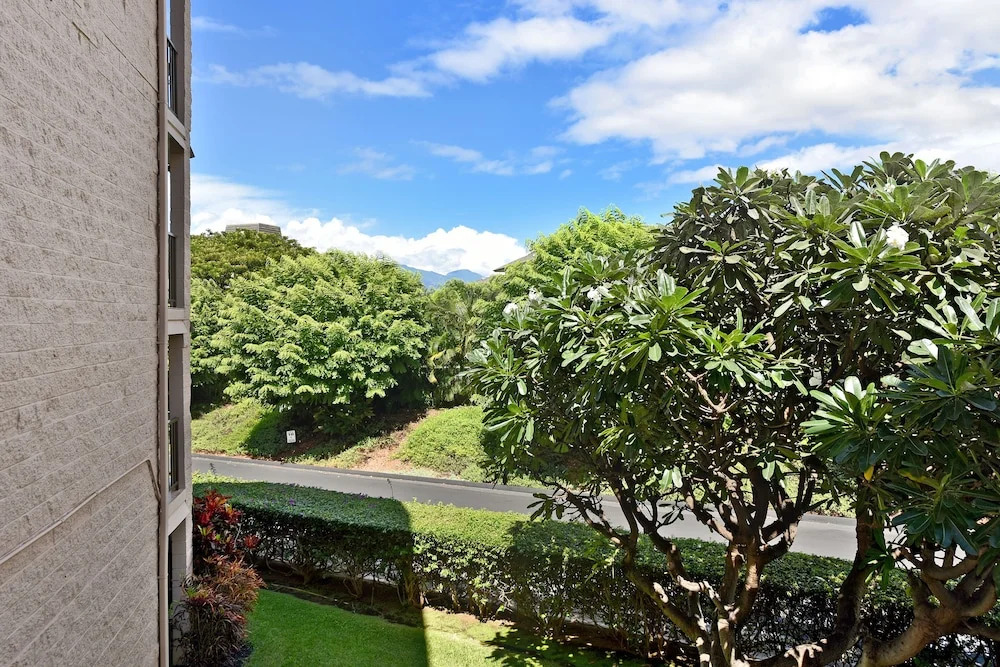 Kihei Alii Kai A207 1 Bedroom 1 Bathroom Condo