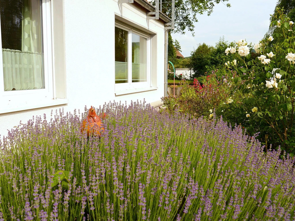 Ferienwohnung in Löwensen mit eigener Terrasse