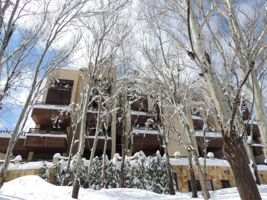 Faraya Village Club