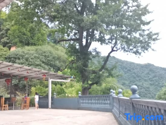 Hushanzhuyuan Agritainment