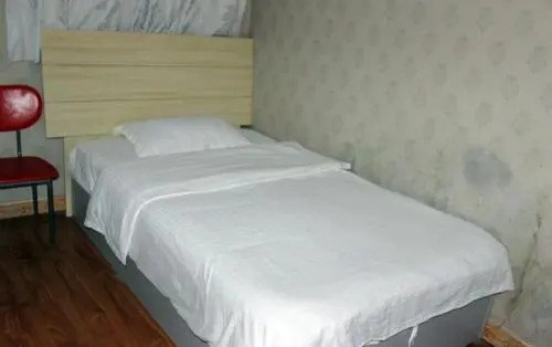Wudang Mountain Youshan Guest House