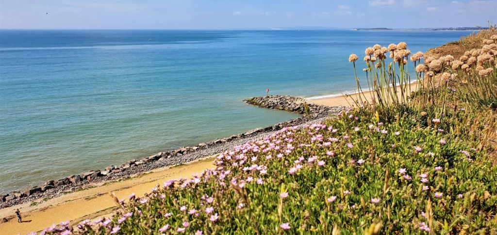 Cliftonville, Coast & Forest Homestay, en-suite room TV fridge microwave