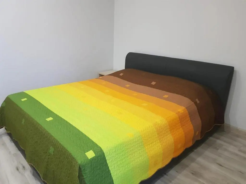 Andria Pirveltcodebuli 58.Gonio. Georgia